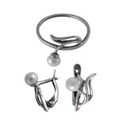 Гарнитур 20002