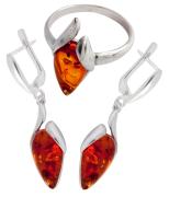 Янтарь комплект RE0008