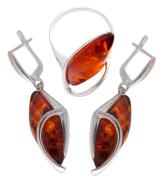 Янтарь комплект RE0011