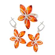 Янтарь комплект RE0012