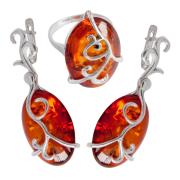 Янтарь комплект RE0013