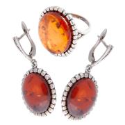 Янтарь комплект RE0022