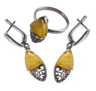 Янтарь комплект RE0040