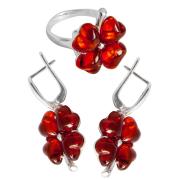 Янтарь комплект RE0044