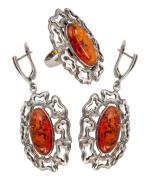 Янтарь комплект RE0047