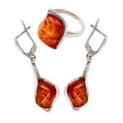 Янтарь комплект RE0058