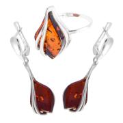 Янтарь комплект RE0060