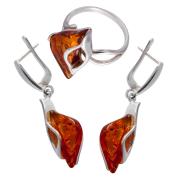 Янтарь комплект RE0063