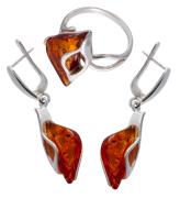 Янтарь комплект RE0063