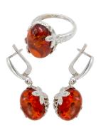 Янтарь комплект RE0069