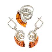 Янтарь комплект RE0123