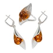 Янтарь комплект RE0133