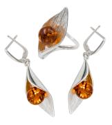 Янтарь комплект RE0133