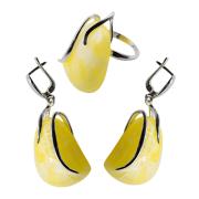 Янтарь комплект RE0136