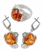 Янтарь комплект RE0227