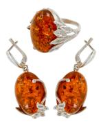 Янтарь комплект RE0228