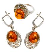 Янтарь комплект RE0229