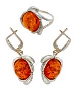 Янтарь комплект RE0257