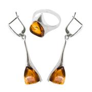 Янтарь комплект RE1002