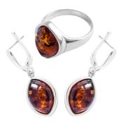 Янтарь комплект RE1368