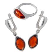 Янтарь комплект RE1379