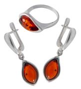 Янтарь комплект RE1379