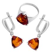 Янтарь комплект RE1411