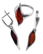 Янтарь комплект RE1432